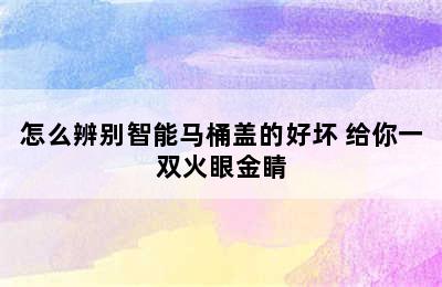 怎么辨别智能马桶盖的好坏 给你一双火眼金睛